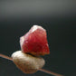 Rare Pezzottaite Crystal from Madagascar - 2.35 Carats - 0.4"