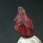 Rare Large Pezzottaite Pink Beryl from Madagascar - 3.00 Carats