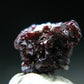 Rare Gem Proustite Cluster From Morocco - 0.6" - 1.89 Grams