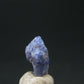 Fine Rare Carletonite Crystal From Mt. St. Hilaire Canada - 0.4" - 0.41 Grams