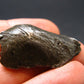 Sikhote Alin Meteorite From Russia - 17.87 Grams - 1.2"