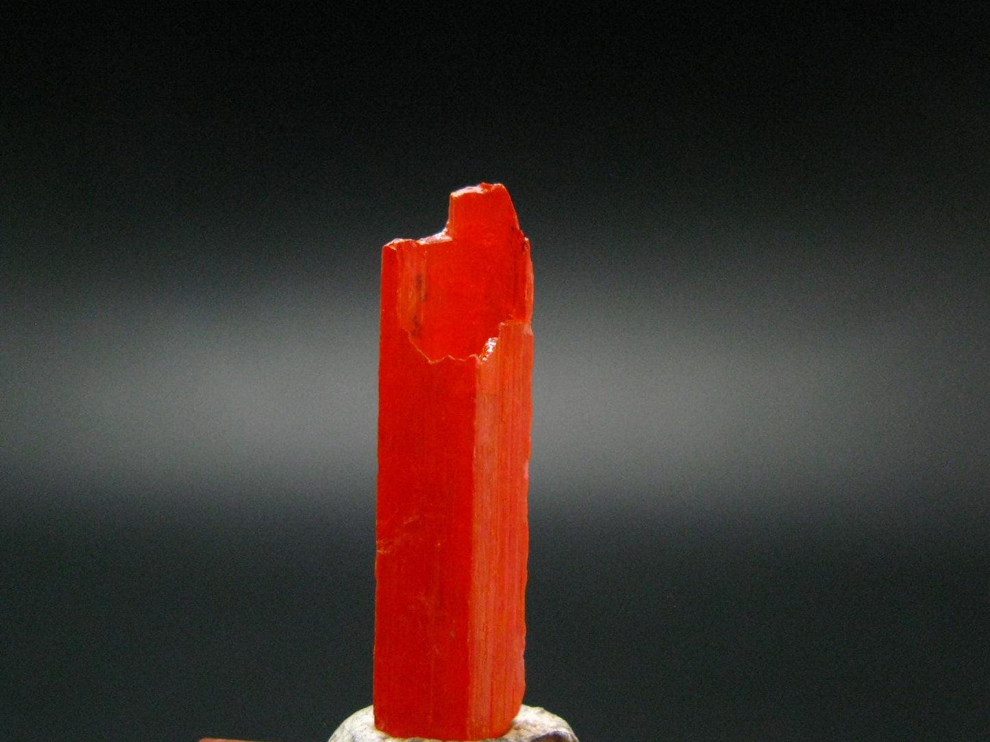 Large Orange Crocoite Crystal From Australia - 0.1" - 5.80 Carats