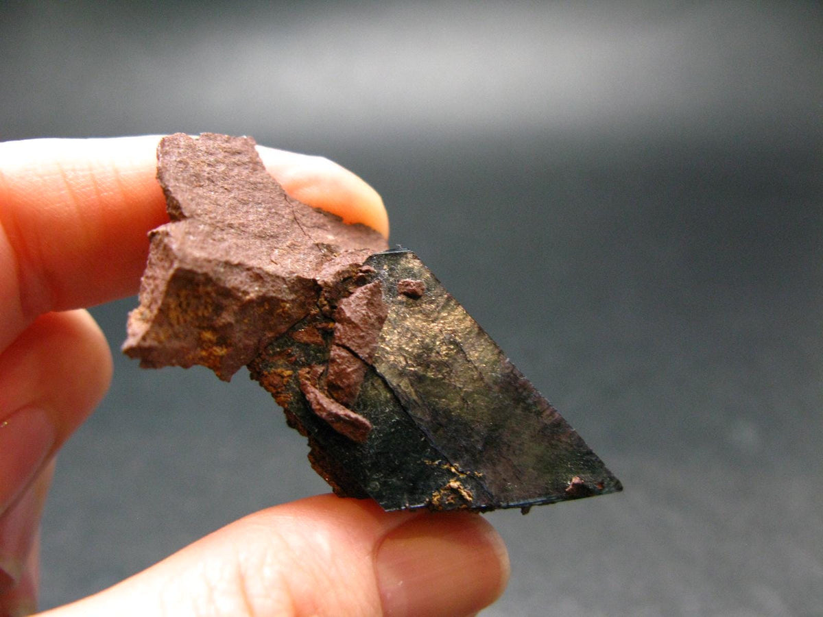 Vivianite Crystal From Bolivia - 2.0"