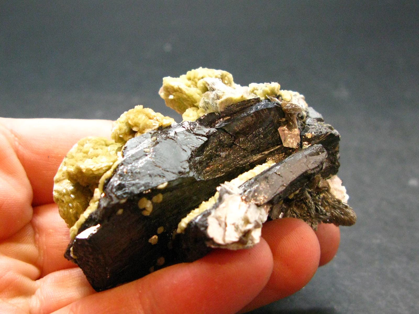 Wolframite Crystal From Portugal - 2.3" - 136.82 Grams