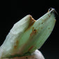 Very Rare Phosphophyllite Crystal From Bolivia - 0.8" - 0.97 Grams