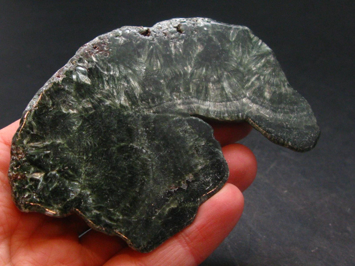 Nice Polished Seraphinite Clinochlore Stalactite Slab From Russia - 3.4" - 68.79 Grams