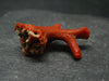 Rare Natural Red Coral From Italy - 1.4" - 5.31 Grams