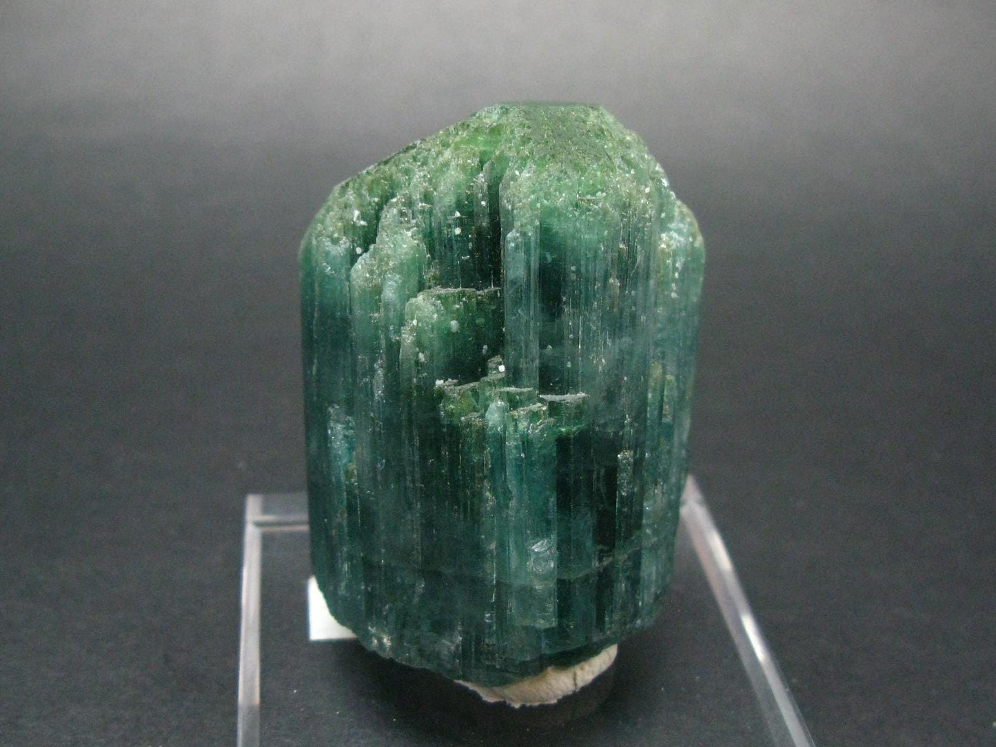 Blue Tourmaline Crystal From Brazil - 2.1" - 106.7 Grams