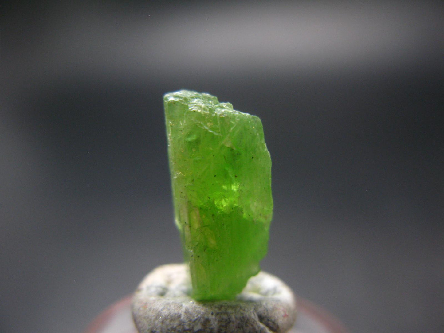 Rare Neon Tremolite Crystal from Tanzania - 0.6" - 4.40 Carats