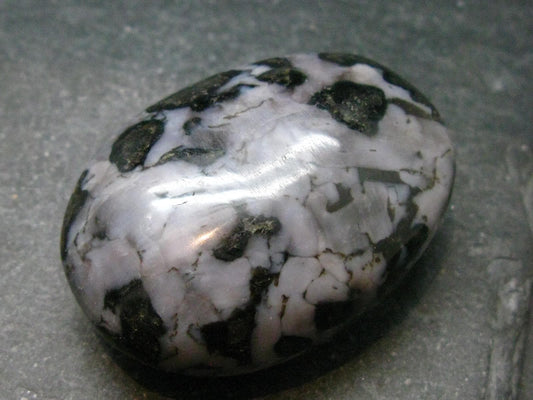 Gabbro Mystic Merlinite Tumbled Piece From Indian Ocean - 1.7"