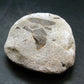 A Perfect Staurolite Crystal from Russia - 2.8" - 126.69 Grams