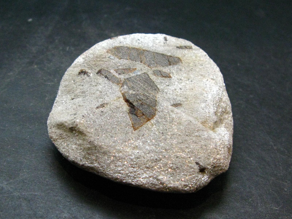 A Perfect Staurolite Crystal from Russia - 2.8" - 126.69 Grams