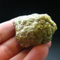 Rare Demantoid Garnet Cluster from Italy - 1.4" - 36.62 Grams