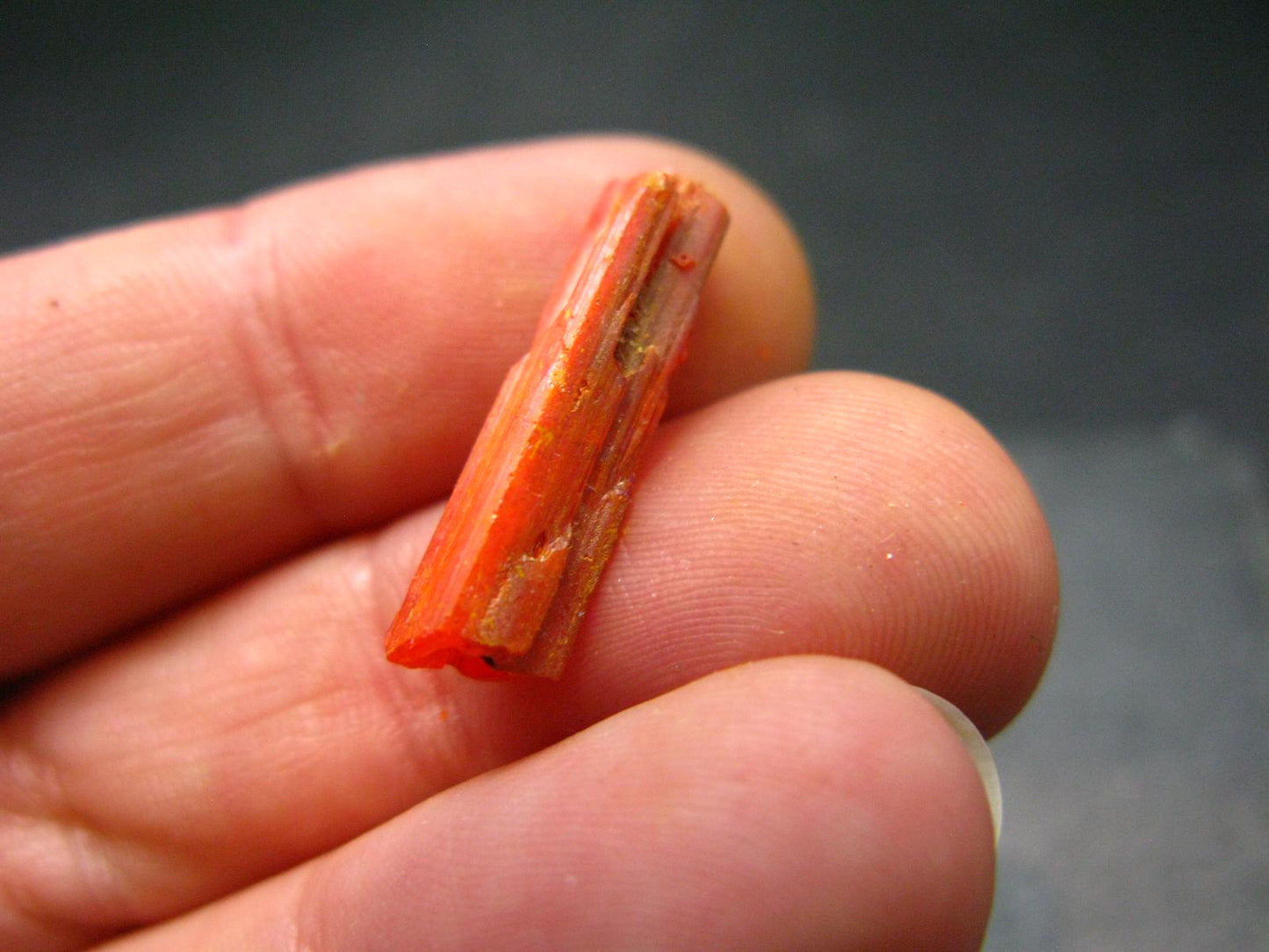 Large Orange Crocoite Crystal From Australia - 0.7" - 6.10 Carats