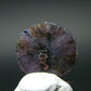 Beautiful Rare Gem Trapiche Sapphire From Burma - 2.91 Carats