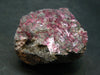 Fine Erythrite Cluster From Morocco - 2.0" - 56.7 Grams