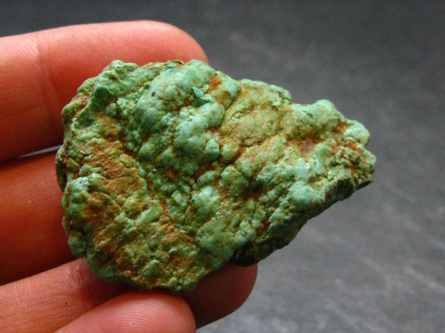 Genuine Sleeping Beauty Turquoise Raw Piece from Arizona, USA - 1.6" - 16.19 Grams