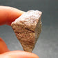 Rare Vitalite Crystal From New Zealand - 1.4" - 9.11 Grams