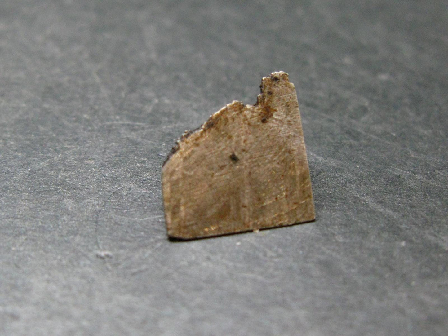 Large Gibeon Meteorite From Namibia - 0.5" - 4.94 Grams