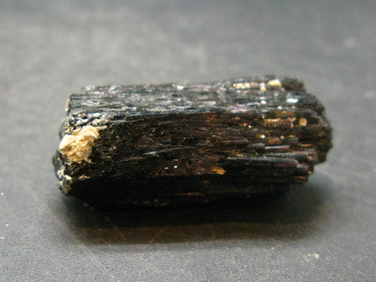 Fine Black Tourmaline Schorl Crystal From Namibia - 1.4"