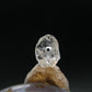 Phenakite Crystal Bead From Brazil - 0.19 Grams
