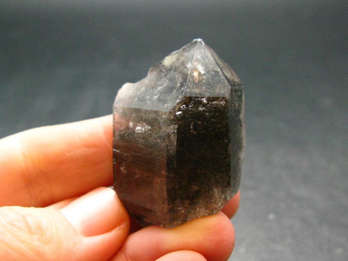 Nice Tibetan Black Quartz Crystal from Tibet - 1.6" - 22.97 Grams