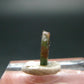 Rare Watermelon Tourmaline Crystal Slice From Brazil - 1.35 Carats