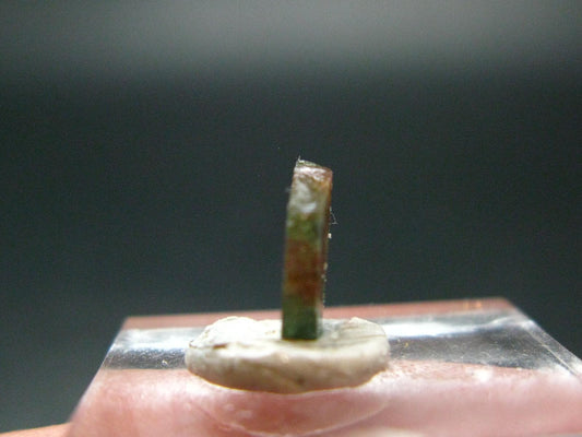 Rare Watermelon Tourmaline Crystal Slice From Brazil - 1.35 Carats