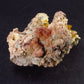 Wulfenite Cluster From Arizona - 2.6"
