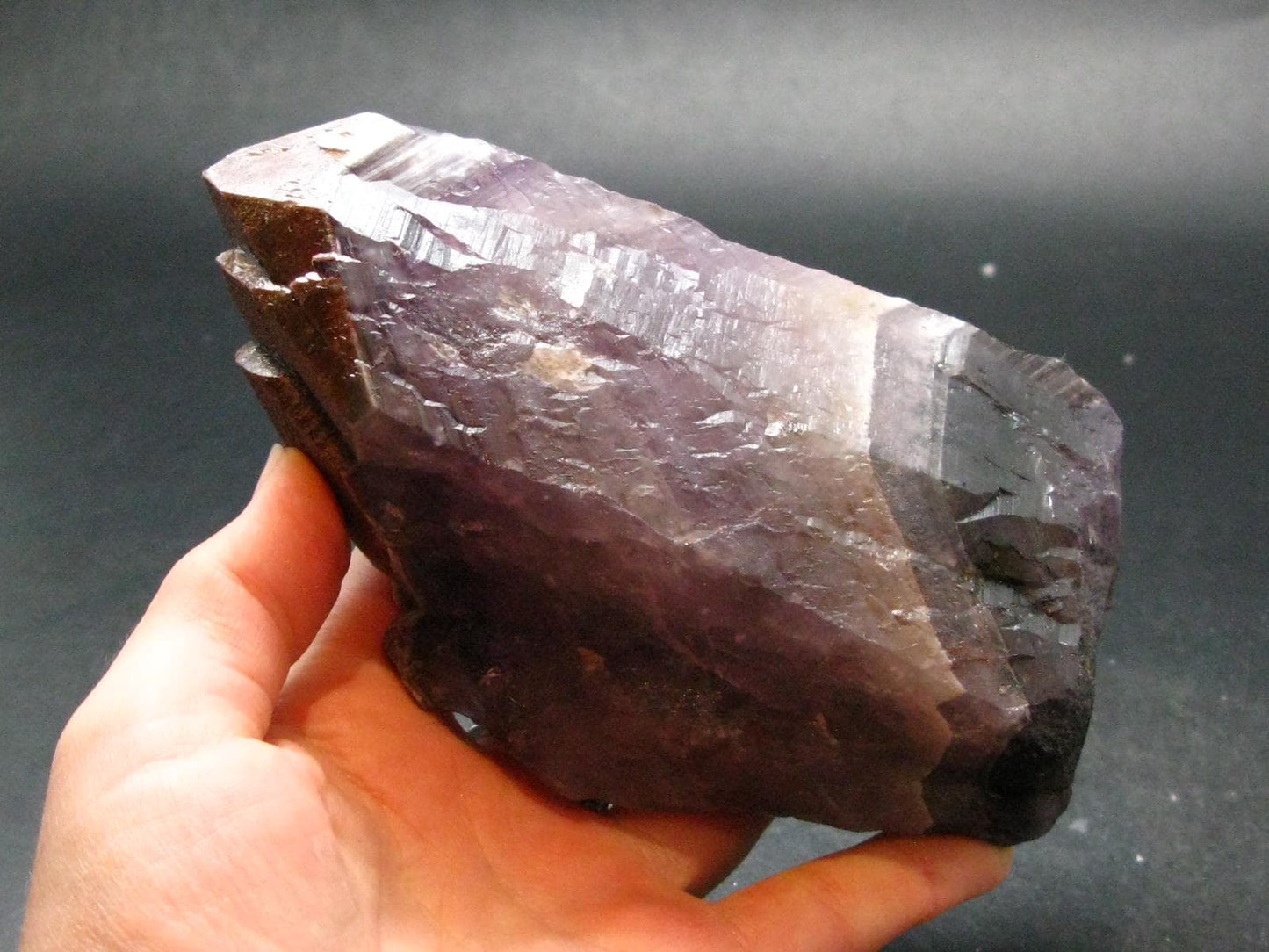 Rare Auralite Super 23 Large Crystal Amethyst From Canada - 5.2"