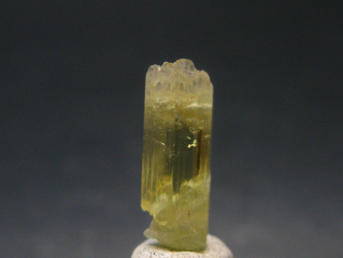 Gem Heliodor Golden Beryl Crystal From Tajikistan - 1.25 Grams - 0.7"