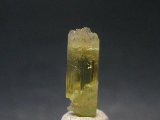 Gem Heliodor Golden Beryl Crystal From Tajikistan - 1.25 Grams - 0.7"