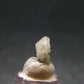 Phenakite Phenacite Raw Crystal Bead from Russia 1.61 Carats