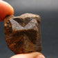 Staurolite Crystal from USA - 24.31 Grams - 1.1"