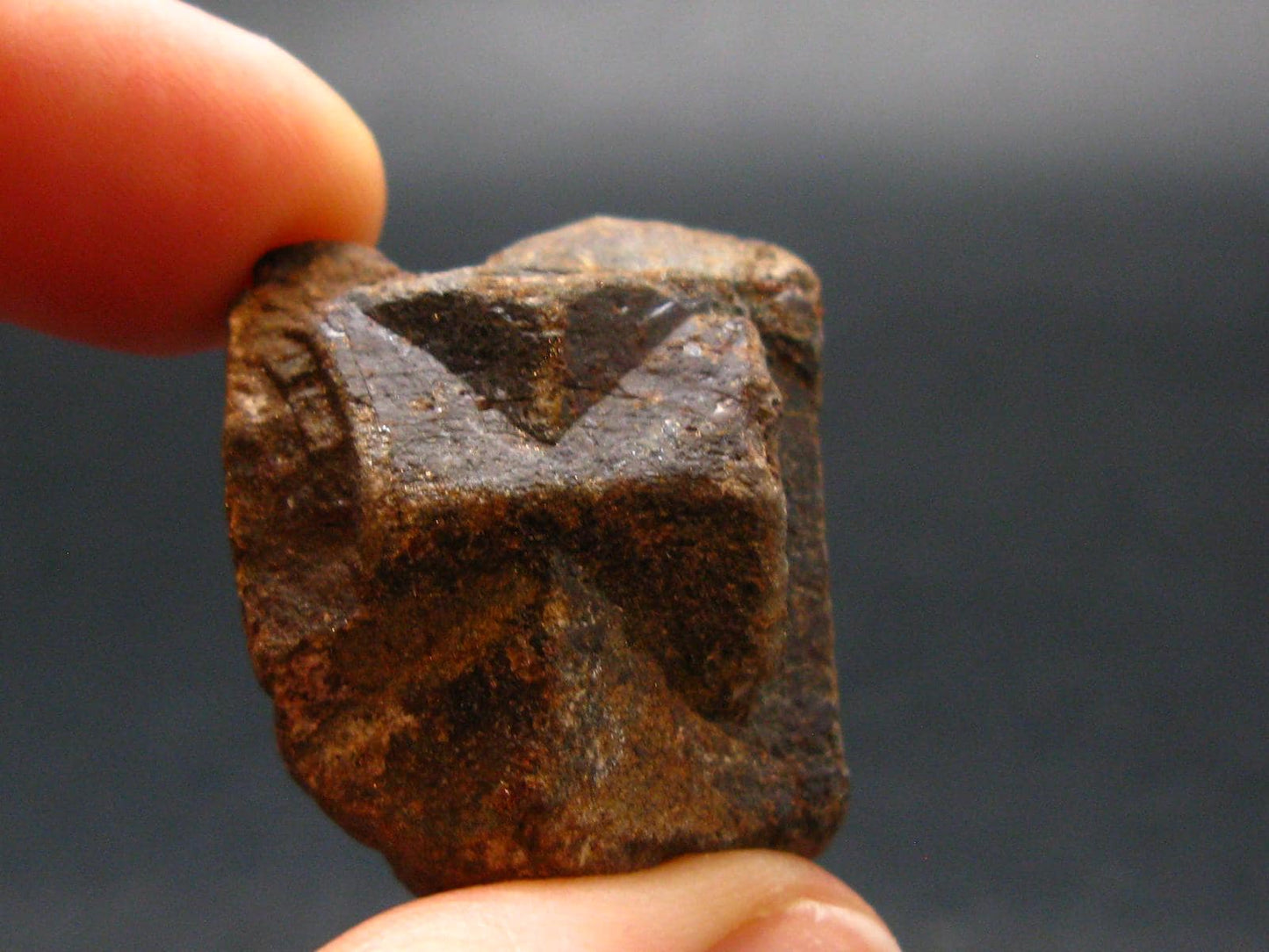 Staurolite Crystal from USA - 24.31 Grams - 1.1"