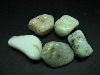 Lot of 5 natural tumbled light green Chrysoprase (variety of chalcedony) from Poland
