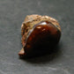 Fire Agate Crystal From Mexico - 0.9" - 7.50 Grams