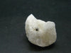 Phenakite Phenacite Crystal from Nigeria 10.19 Grams - 1.0"