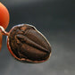 Trilobite Silver Pendant from USA - 1.0" - 2.42 Grams