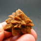 Glendonite (Ikaite after Calcite) Crystal From Russia - 1.0" - 7.61 Grams