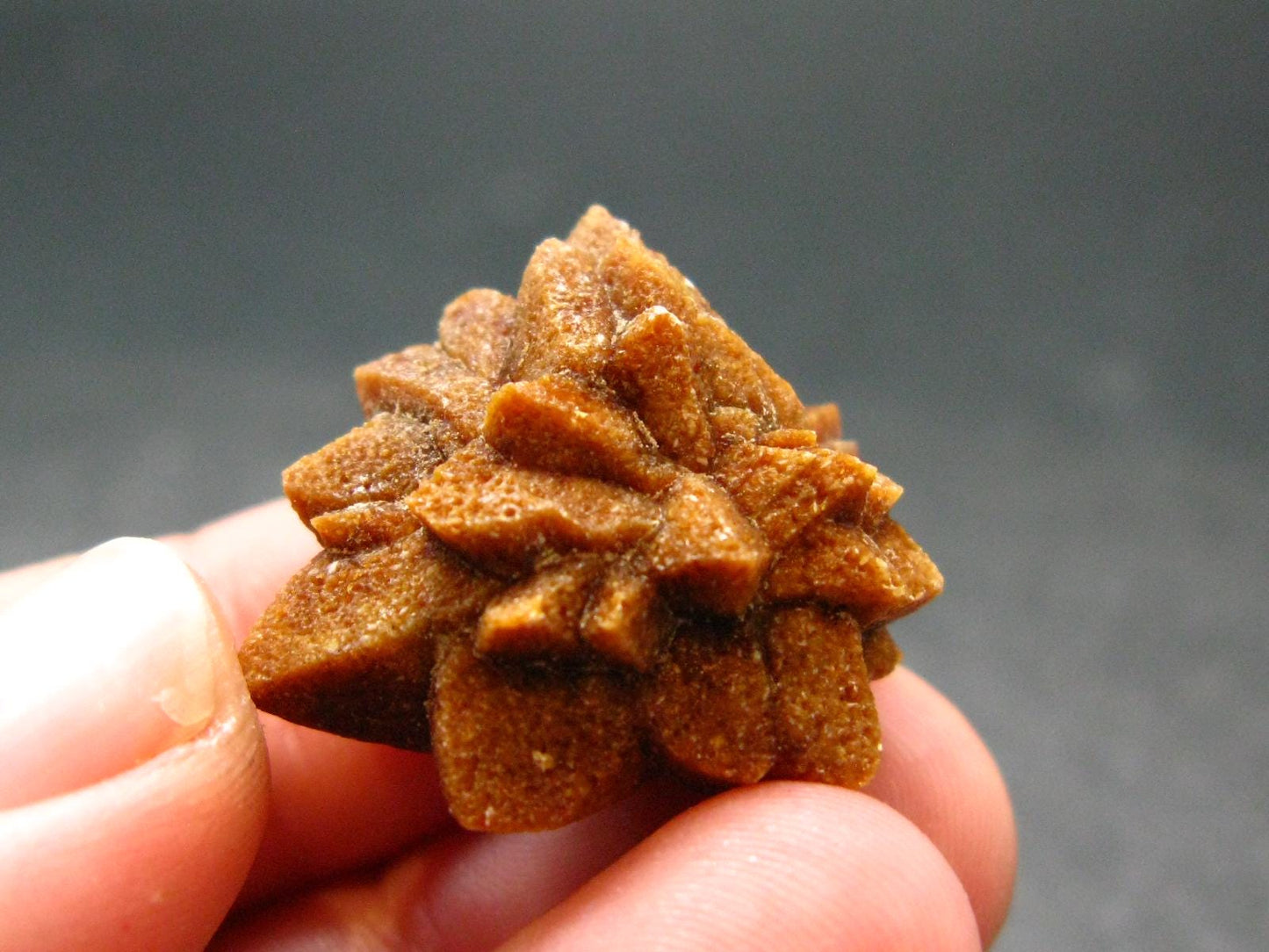 Glendonite (Ikaite after Calcite) Crystal From Russia - 1.0" - 7.61 Grams