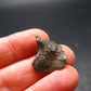 Sikhote Alin Meteorite From Russia - 4.92 Grams - 0.8"