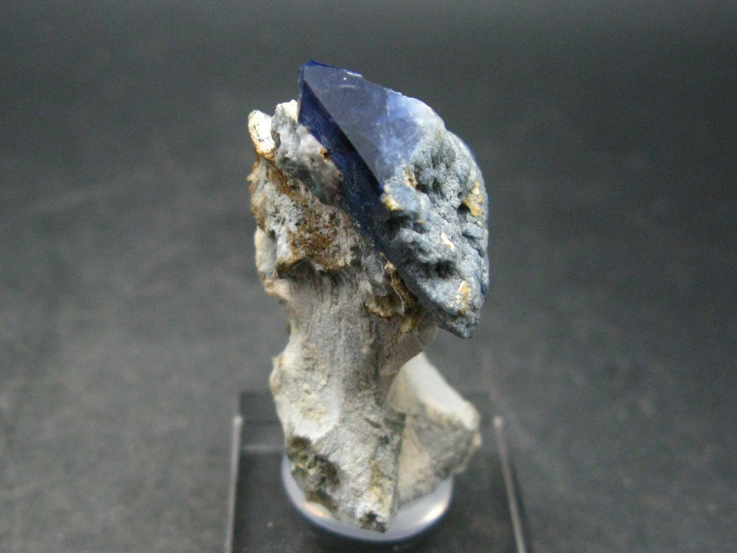 Benitoite and Neptunite on Natrolite Cluster From California - 1.7"