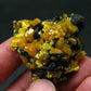 Nice Large Yellow Mimetite Cluster from Congo - 1.8"