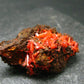 Rare Orange Crocoite Cluster From Australia - 1.4"- 11.53 Grams