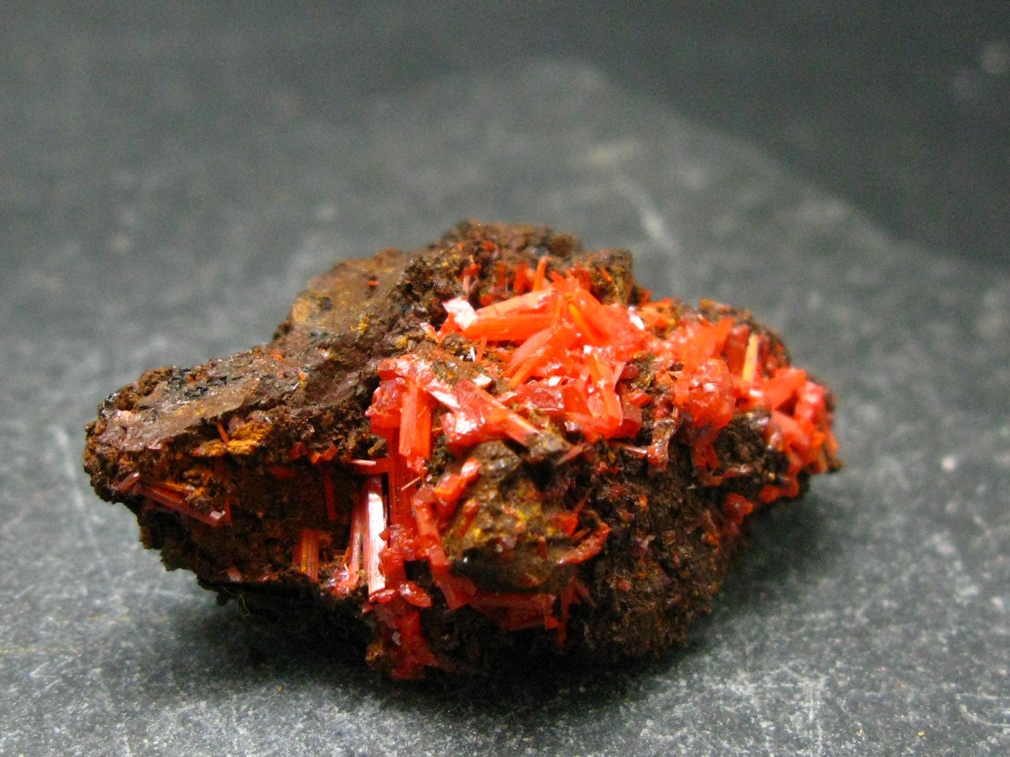 Rare Orange Crocoite Cluster From Australia - 1.4"- 11.53 Grams