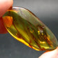 Insects in Amber Piece From Baltic Sea - 6.10 Grams - 2.0"