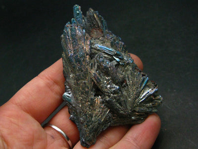 Dichroic Kyanite Crystal From Brazil - 2.6" - 45.48 Grams