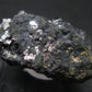 Sperrylite Crystals On Matrix From Norilsk Russia - 1.5" - 10+ Crystals