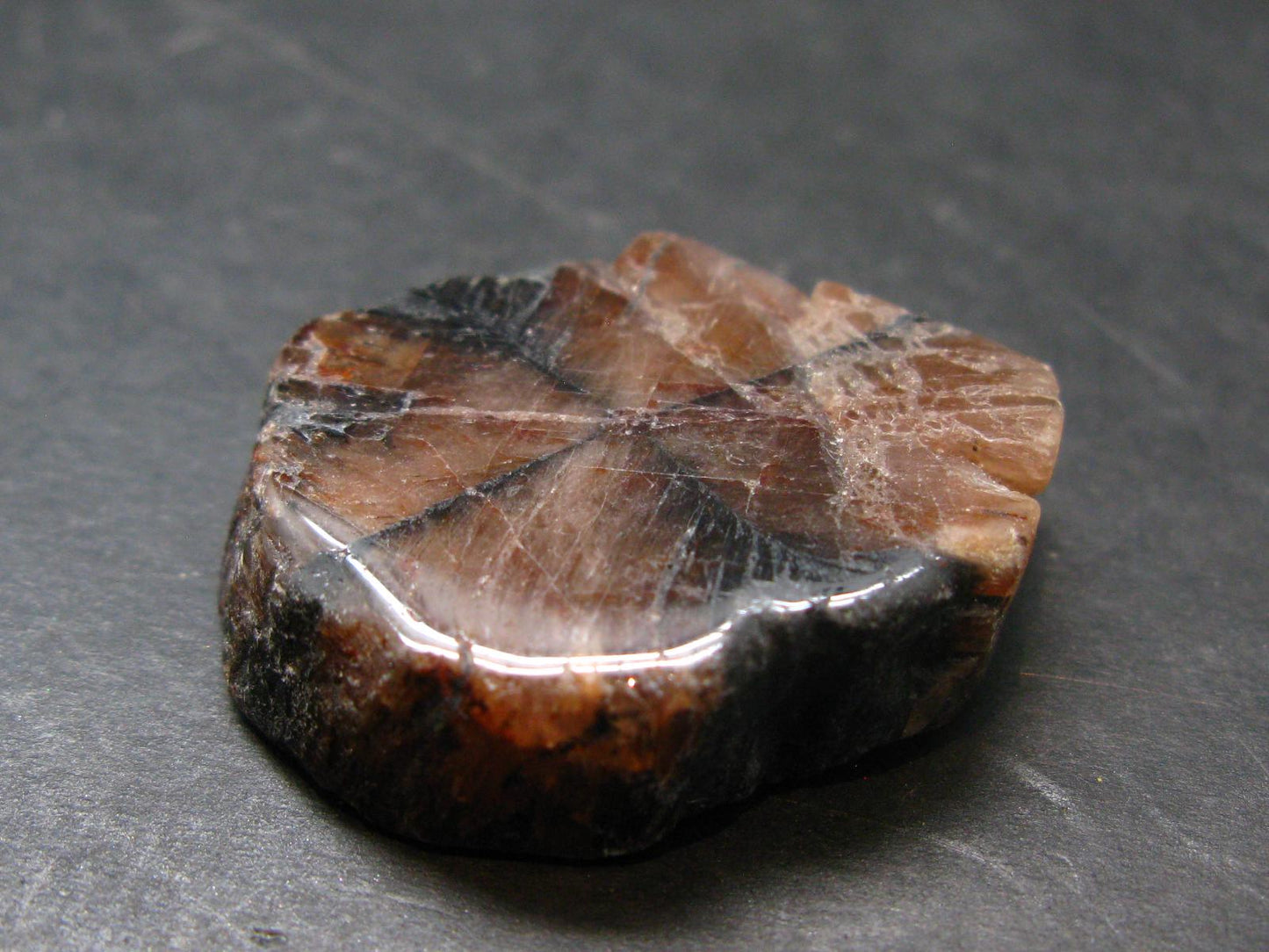 Andalusite Chiastolite Crystal From China - 1.4" - 22.12 Grams